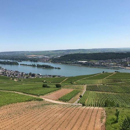 Ruedesheimer Wohlfuehloase Rüdesheim am Rhein Esterno foto